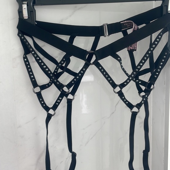 Victoria Secret Swarovski Lingerie - Picture 6 of 11